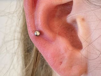 auricle piercing pics
