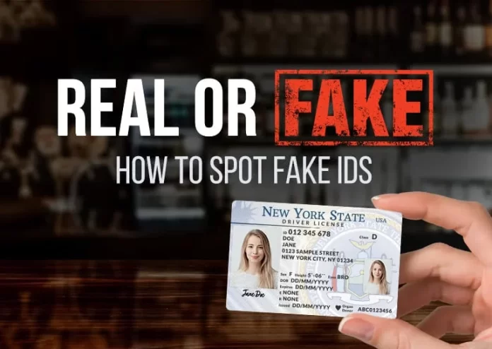 The Process of Receiving a Fake ID (Germany): What Is It Like?