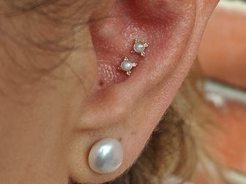 conch double piercing