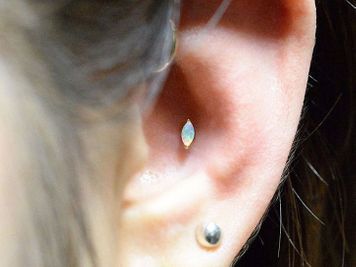 conch piercing cost
