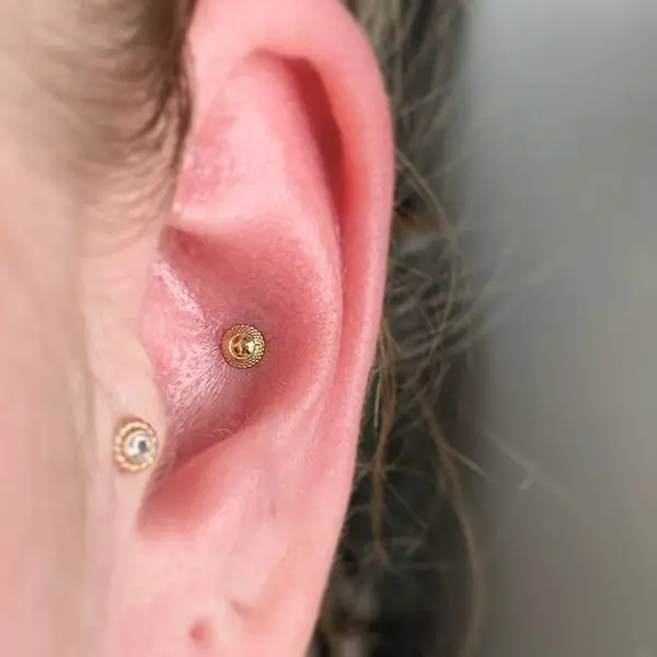 conch piercing gold stud