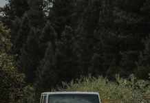 What are the Different Types of Window Tint? different types of window tint