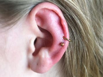 double auricle