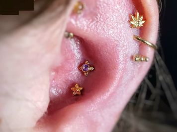 double conch piercing