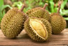 Durian: The King of Fruits Durian: The King of Fruits