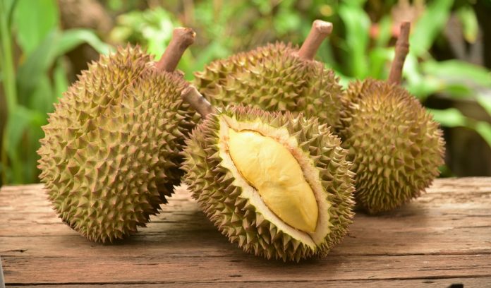 Durian: The King of Fruits
