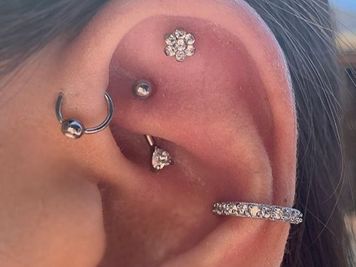 ear jewelry rook