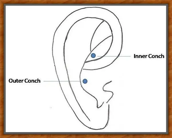 inner conch vs outer conch