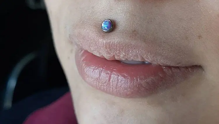 medusa piercing featured image