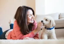 Pet Shipping: A Comprehensive Guide