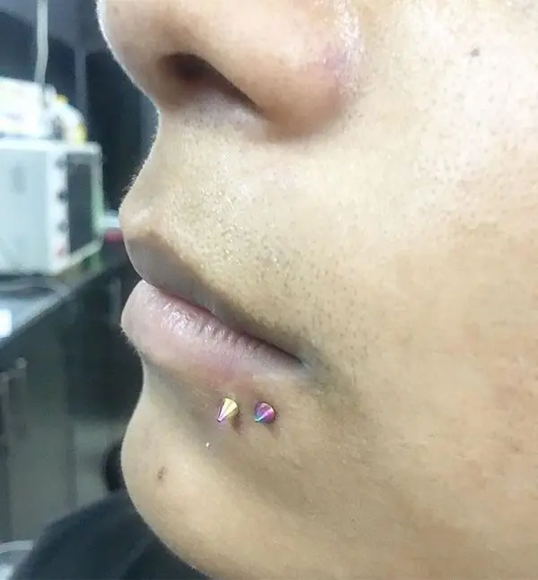 spider bite piercing studs